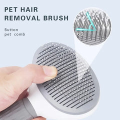 Self-Cleaning Brush