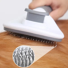 Self-Cleaning Brush