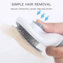 Self-Cleaning Brush