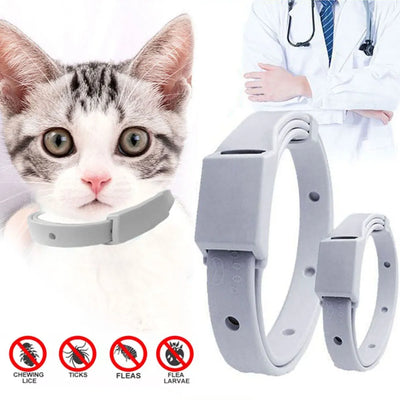 Anti-Flea Collar